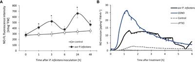 Insights into the expression of DNA (de)methylation genes responsive to nitric oxide signaling in potato resistance to late blight disease